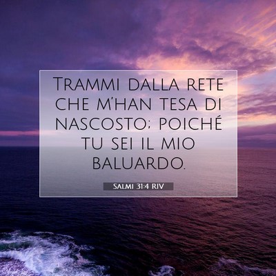 Picture 07 - Salmi 31:4 RIV - Trammi dalla rete che m’han tesa di nascosto; - Bible Verse Picture