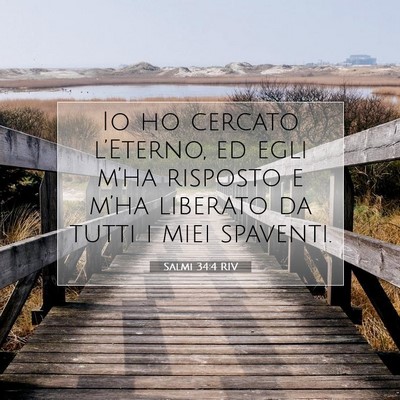 Picture 07 - Salmi 34:4 RIV - Io ho cercato l’Eterno, ed egli m’ha risposto - Bible Verse Picture