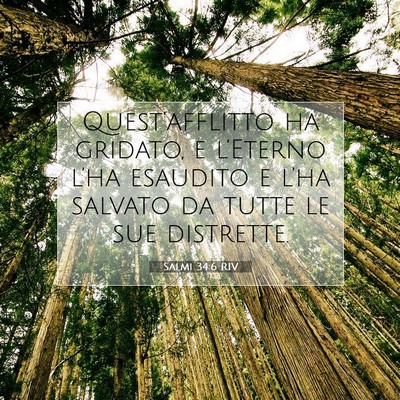 Picture 07 - Salmi 34:6 RIV - Quest’afflitto ha gridato, e l’Eterno l’ha - Bible Verse Picture