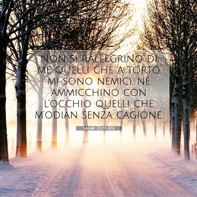 Picture 07 - Salmi 35:19 RIV - Non si rallegrino di me quelli che a torto mi - Bible Verse Picture