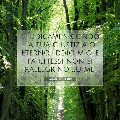 Picture 07 - Salmi 35:24 RIV - Giudicami secondo la tua giustizia o Eterno, - Bible Verse Picture