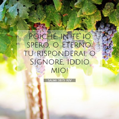 Picture 07 - Salmi 38:15 RIV - Poiché, in te io spero, o Eterno; tu - Bible Verse Picture