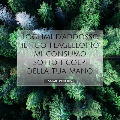 Picture 07 - Salmi 39:10 RIV - Toglimi d’addosso il tuo flagello! Io mi - Bible Verse Picture