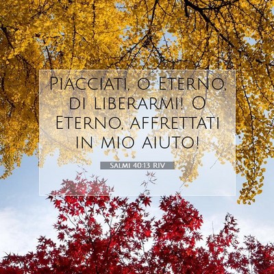 Picture 07 - Salmi 40:13 RIV - Piacciati, o Eterno, di liberarmi! O Eterno, - Bible Verse Picture