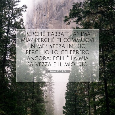 Picture 07 - Salmi 42:5 RIV - Perché t’abbatti anima mia? perché ti - Bible Verse Picture