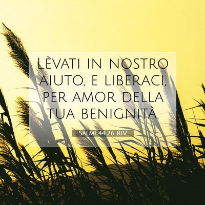 Picture 07 - Salmi 44:26 RIV - Lèvati in nostro aiuto, e liberaci, per amor - Bible Verse Picture