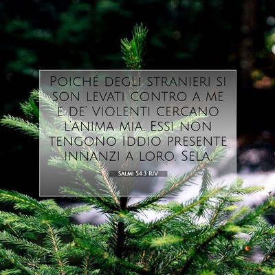 Picture 07 - Salmi 54:3 RIV - Poiché degli stranieri si son levati contro a me - Bible Verse Picture