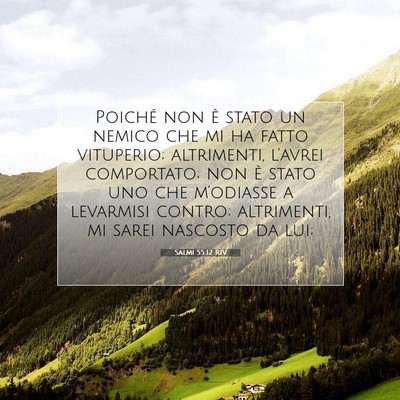 Picture 07 - Salmi 55:12 RIV - Poiché non è stato un nemico che mi ha fatto - Bible Verse Picture