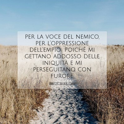 Picture 07 - Salmi 55:3 RIV - per la voce del nemico, per l’oppressione - Bible Verse Picture