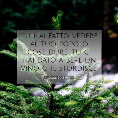 Picture 07 - Salmi 60:3 RIV - Tu hai fatto vedere al tuo popolo cose dure; tu - Bible Verse Picture