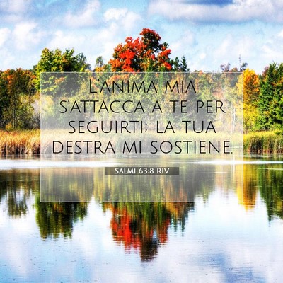 Picture 07 - Salmi 63:8 RIV - L’anima mia s’attacca a te per seguirti; la - Bible Verse Picture