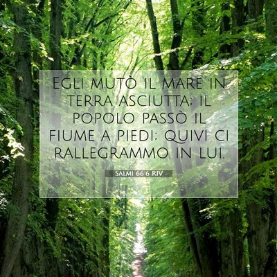 Picture 07 - Salmi 66:6 RIV - Egli mutò il mare in terra asciutta; il popolo - Bible Verse Picture