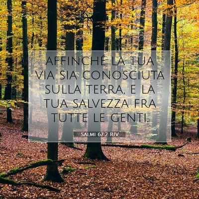 Picture 07 - Salmi 67:2 RIV - affinché la tua via sia conosciuta sulla terra, - Bible Verse Picture