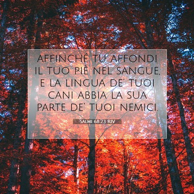 Picture 07 - Salmi 68:23 RIV - affinché tu affondi il tuo piè nel sangue, e la - Bible Verse Picture