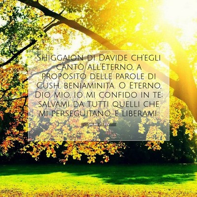 Picture 07 - Salmi 7:1 RIV - Shiggaion di Davide ch’egli cantò - Bible Verse Picture