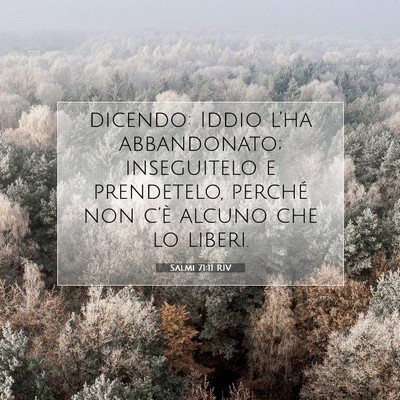 Picture 07 - Salmi 71:11 RIV - dicendo: Iddio l’ha abbandonato; inseguitelo e - Bible Verse Picture