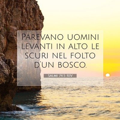 Picture 07 - Salmi 74:5 RIV - Parevano uomini levanti in alto le scuri nel - Bible Verse Picture