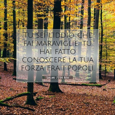 Picture 07 - Salmi 77:14 RIV - Tu sei l’Iddio che fai maraviglie; tu hai fatto - Bible Verse Picture