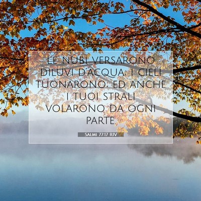 Picture 07 - Salmi 77:17 RIV - Le nubi versarono diluvi d’acqua; i cieli - Bible Verse Picture