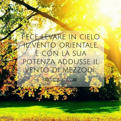 Picture 07 - Salmi 78:26 RIV - Fece levare in cielo il vento orientale, e con la - Bible Verse Picture