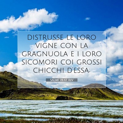 Picture 07 - Salmi 78:47 RIV - distrusse le loro vigne con la gragnuola e i loro - Bible Verse Picture