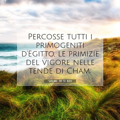 Picture 07 - Salmi 78:51 RIV - Percosse tutti i primogeniti d’Egitto, le - Bible Verse Picture