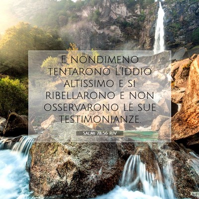 Picture 07 - Salmi 78:56 RIV - E nondimeno tentarono l’Iddio altissimo e si - Bible Verse Picture