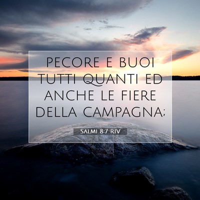 Picture 07 - Salmi 8:7 RIV - pecore e buoi tutti quanti ed anche le fiere - Bible Verse Picture