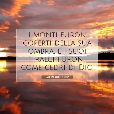 Picture 07 - Salmi 80:10 RIV - I monti furon coperti della sua ombra, e i suoi - Bible Verse Picture
