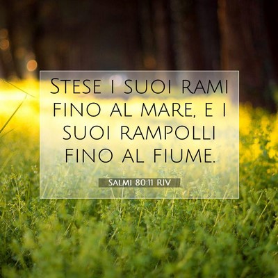 Picture 07 - Salmi 80:11 RIV - Stese i suoi rami fino al mare, e i suoi rampolli - Bible Verse Picture