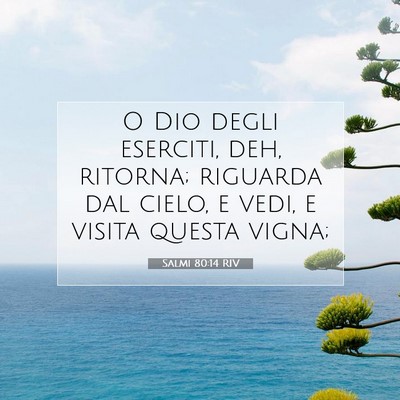 Picture 07 - Salmi 80:14 RIV - O Dio degli eserciti, deh, ritorna; riguarda dal - Bible Verse Picture