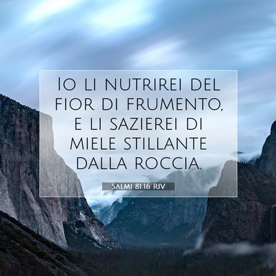 Picture 07 - Salmi 81:16 RIV - Io li nutrirei del fior di frumento, e li - Bible Verse Picture