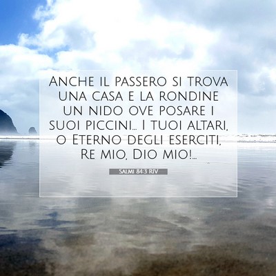 Picture 07 - Salmi 84:3 RIV - Anche il passero si trova una casa e la rondine - Bible Verse Picture