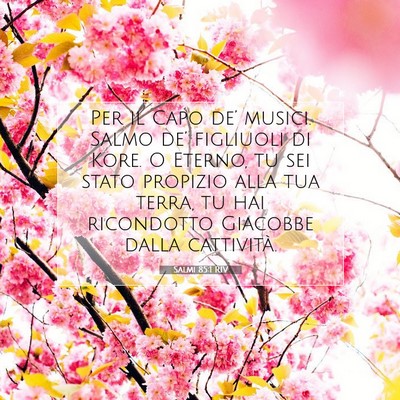 Picture 07 - Salmi 85:1 RIV - Per il Capo de’ musici. Salmo de’ figliuoli - Bible Verse Picture