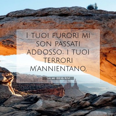 Picture 07 - Salmi 88:16 RIV - I tuoi furori mi son passati addosso; i tuoi - Bible Verse Picture