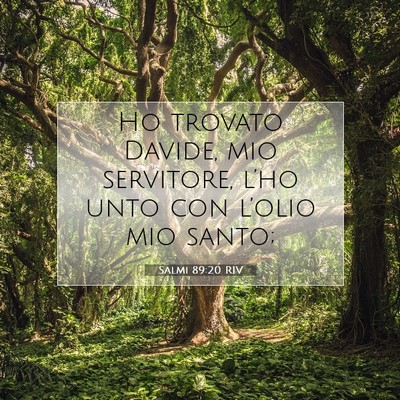 Picture 07 - Salmi 89:20 RIV - Ho trovato Davide, mio servitore, l’ho unto con - Bible Verse Picture