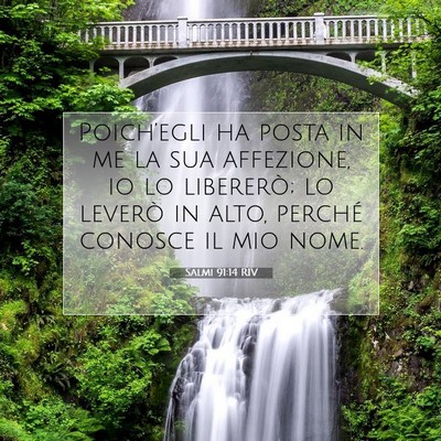 Picture 07 - Salmi 91:14 RIV - Poich’egli ha posta in me la sua affezione, io - Bible Verse Picture