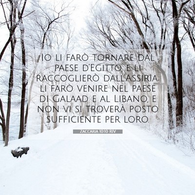 Picture 07 - Zaccaria 10:10 RIV - Io li farò tornare dal paese d’Egitto, e li - Bible Verse Picture