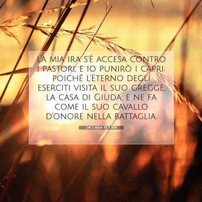 Picture 07 - Zaccaria 10:3 RIV - La mia ira s’è accesa contro i pastori, e io - Bible Verse Picture