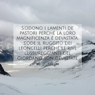 Picture 07 - Zaccaria 11:3 RIV - S’odono i lamenti de’ pastori perché la loro - Bible Verse Picture