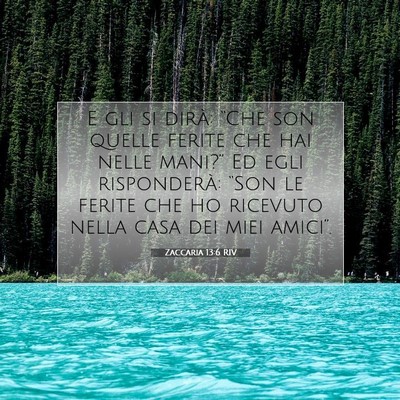 Picture 07 - Zaccaria 13:6 RIV - E gli si dirà: “Che son quelle ferite che hai - Bible Verse Picture