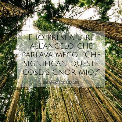 Picture 07 - Zaccaria 4:4 RIV - E io presi a dire all’angelo che parlava meco: - Bible Verse Picture