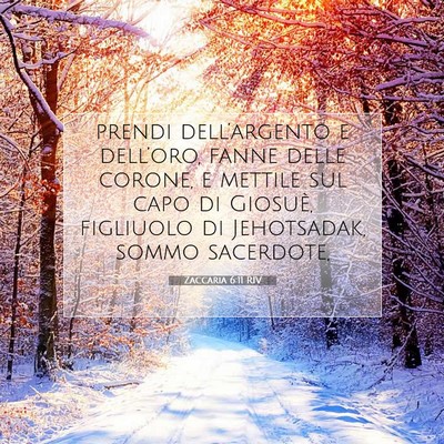 Picture 07 - Zaccaria 6:11 RIV - prendi dell’argento e dell’oro, fanne delle - Bible Verse Picture