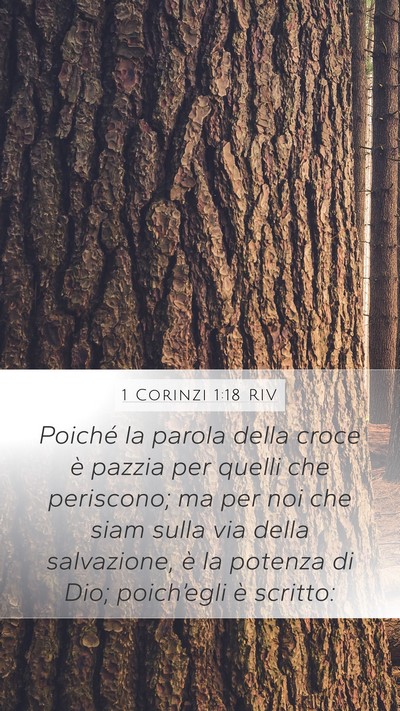 1 Corinzi 1:18 RIV Bible Verse Image