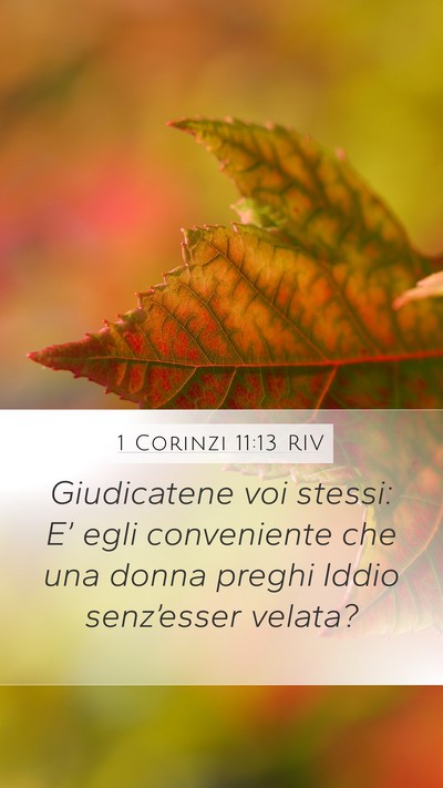 1 Corinzi 11:13 RIV Bible Verse Image