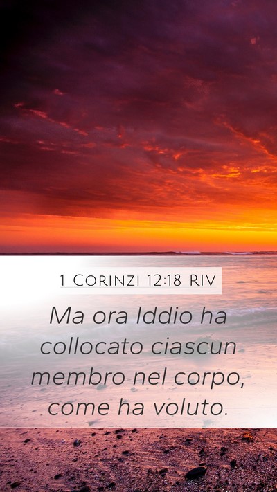 1 Corinzi 12:18 RIV Bible Verse Image