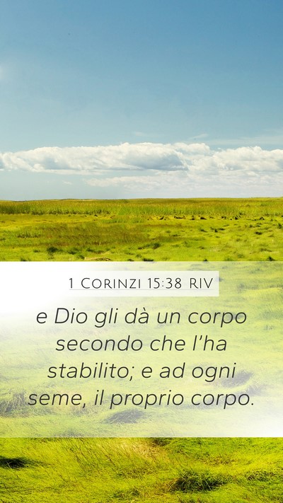 1 Corinzi 15:38 RIV Bible Verse Image