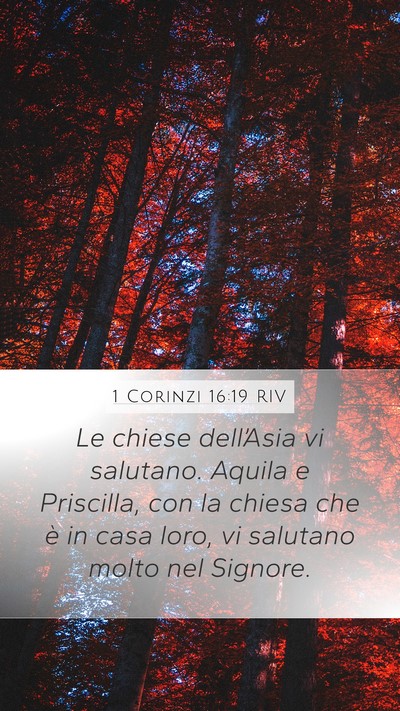 1 Corinzi 16:19 RIV Bible Verse Image