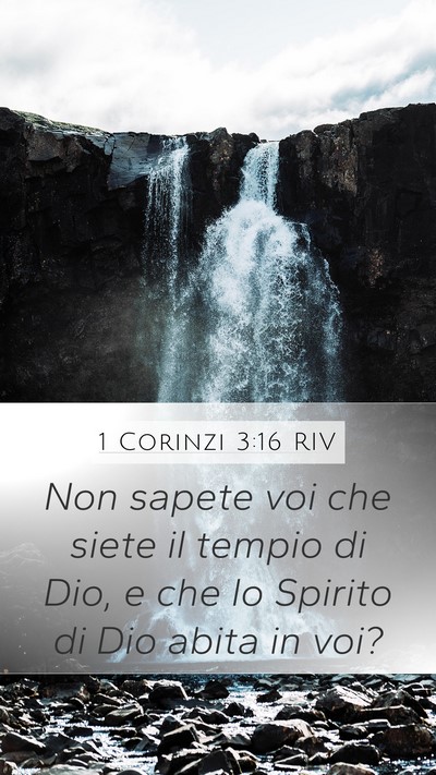 1 Corinzi 3:16 RIV Bible Verse Image