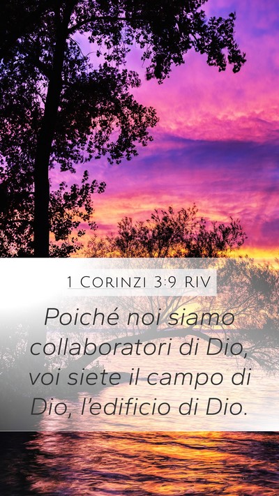 1 Corinzi 3:9 RIV Bible Verse Image